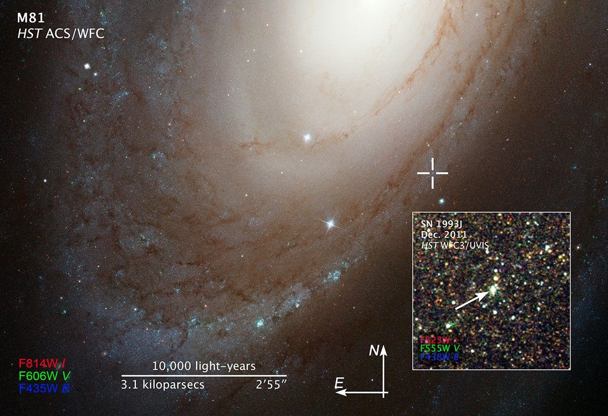 Compass and Scale Image for SN 1993J