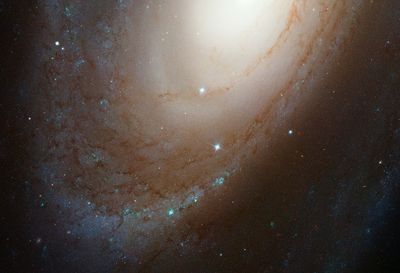 HST ACS Image of M81