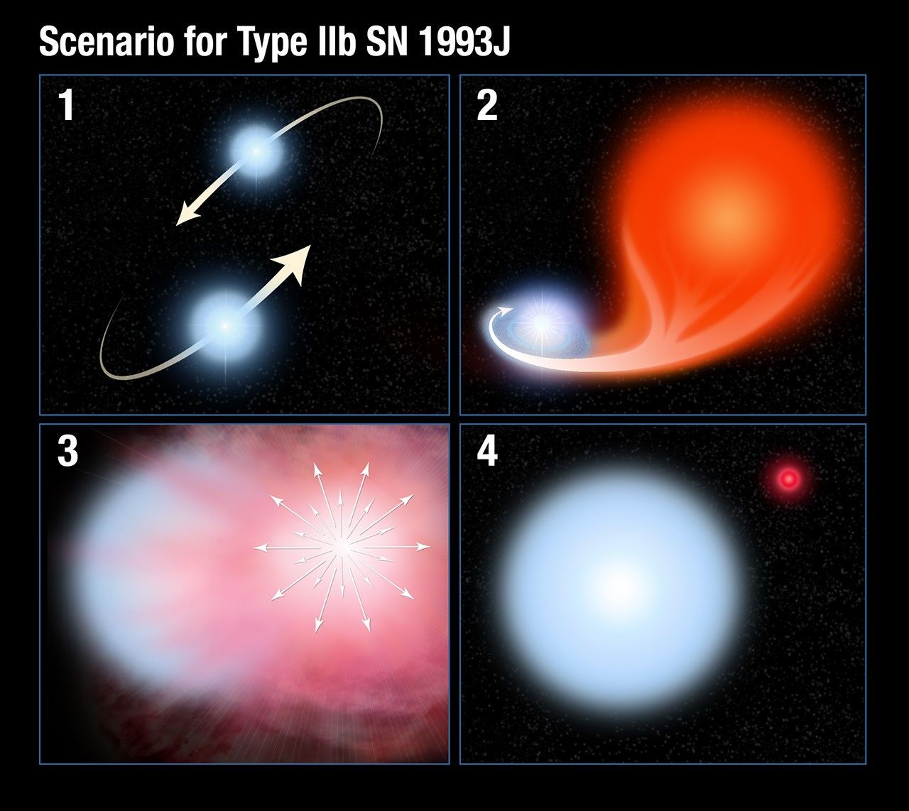 Scenario for Type IIb SN 1993J