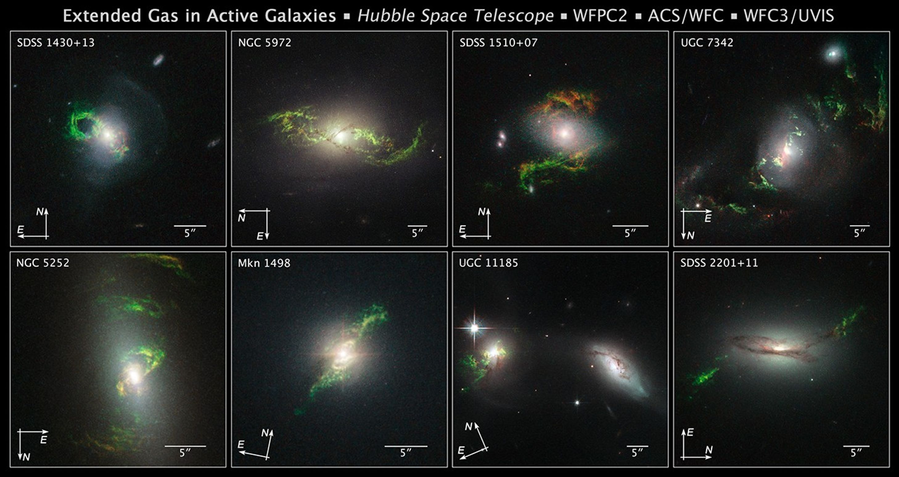 Compass File for Active Galaxies