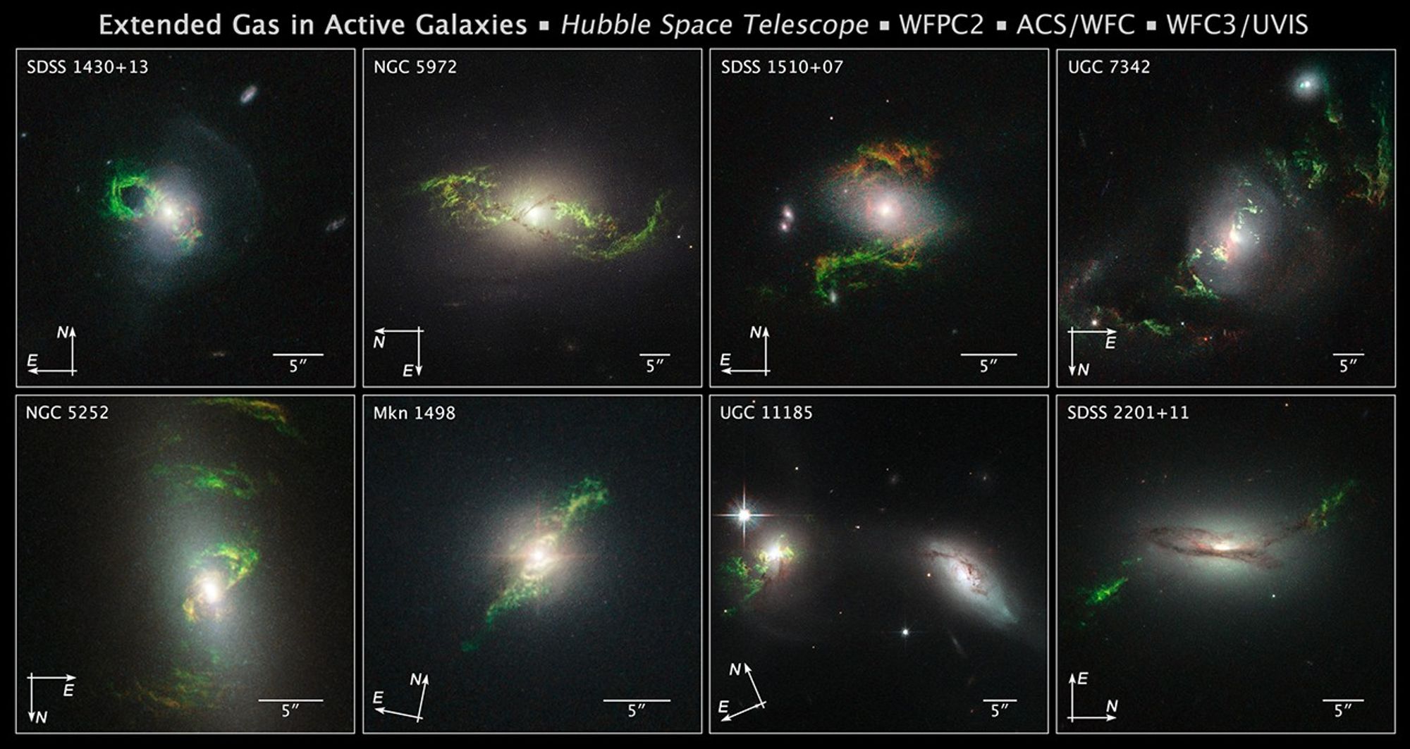 Compass File for Active Galaxies