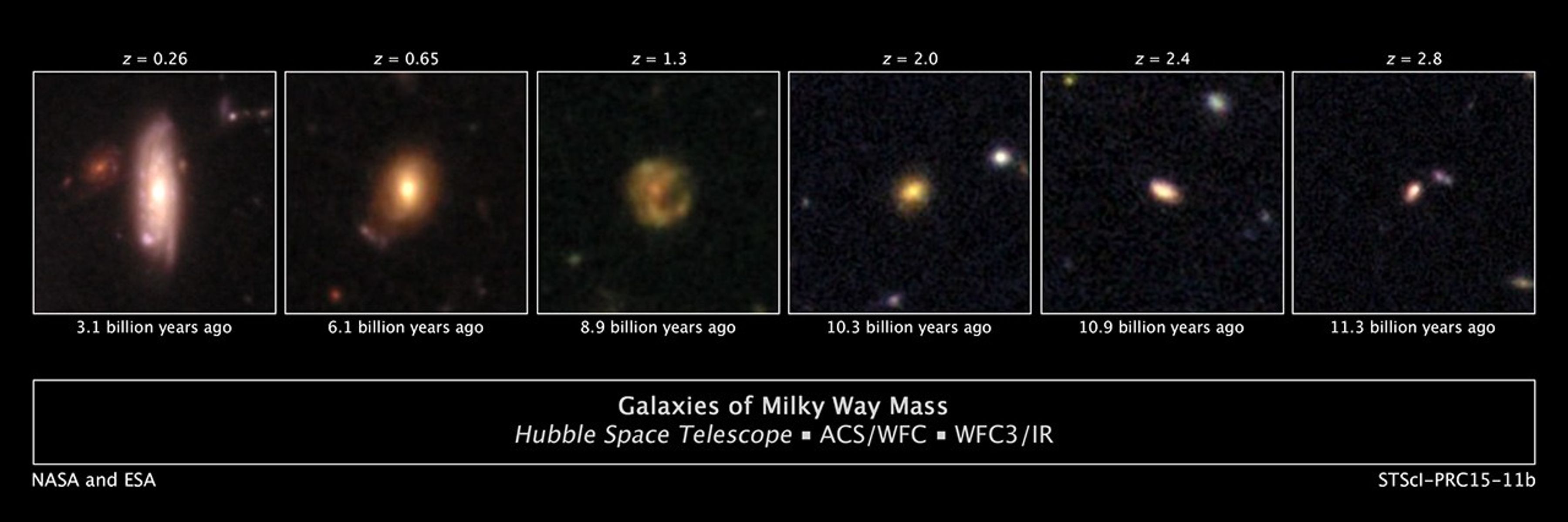 The Growth of Milky Way-Like Galaxies Over Time