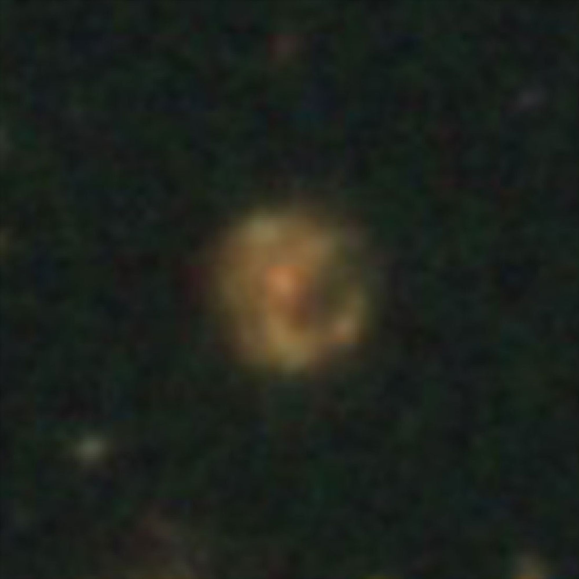 Hubble Galaxy at Redshift z = 1.3