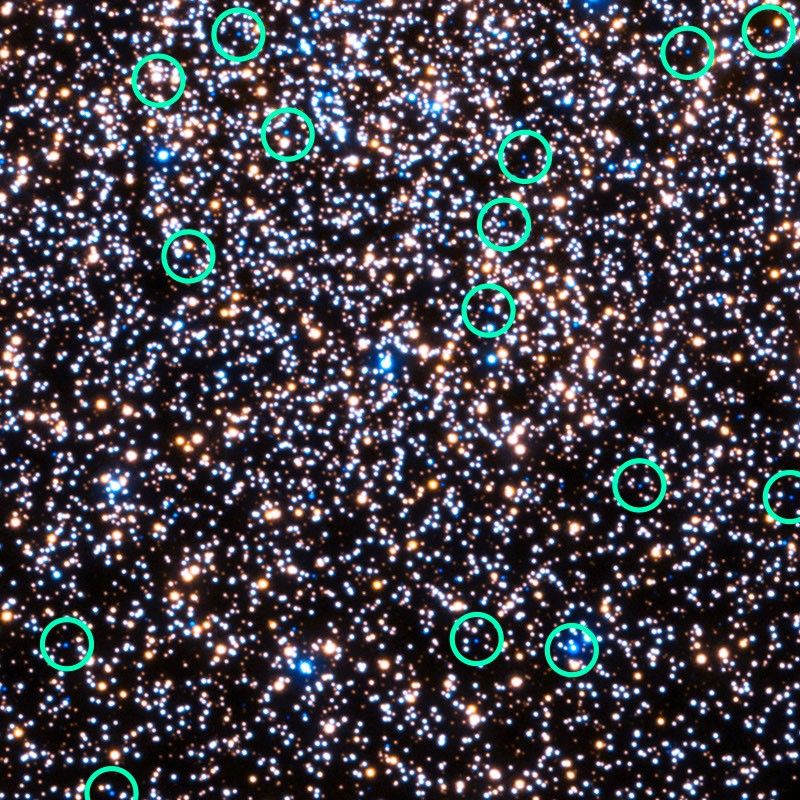 A detailed view of a globular cluster overlaid with light green circles, which mark the locations of white dwarf stars.