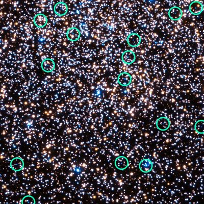 Hubble 47 Tucanae – UV with White Dwarfs Marked (crop)