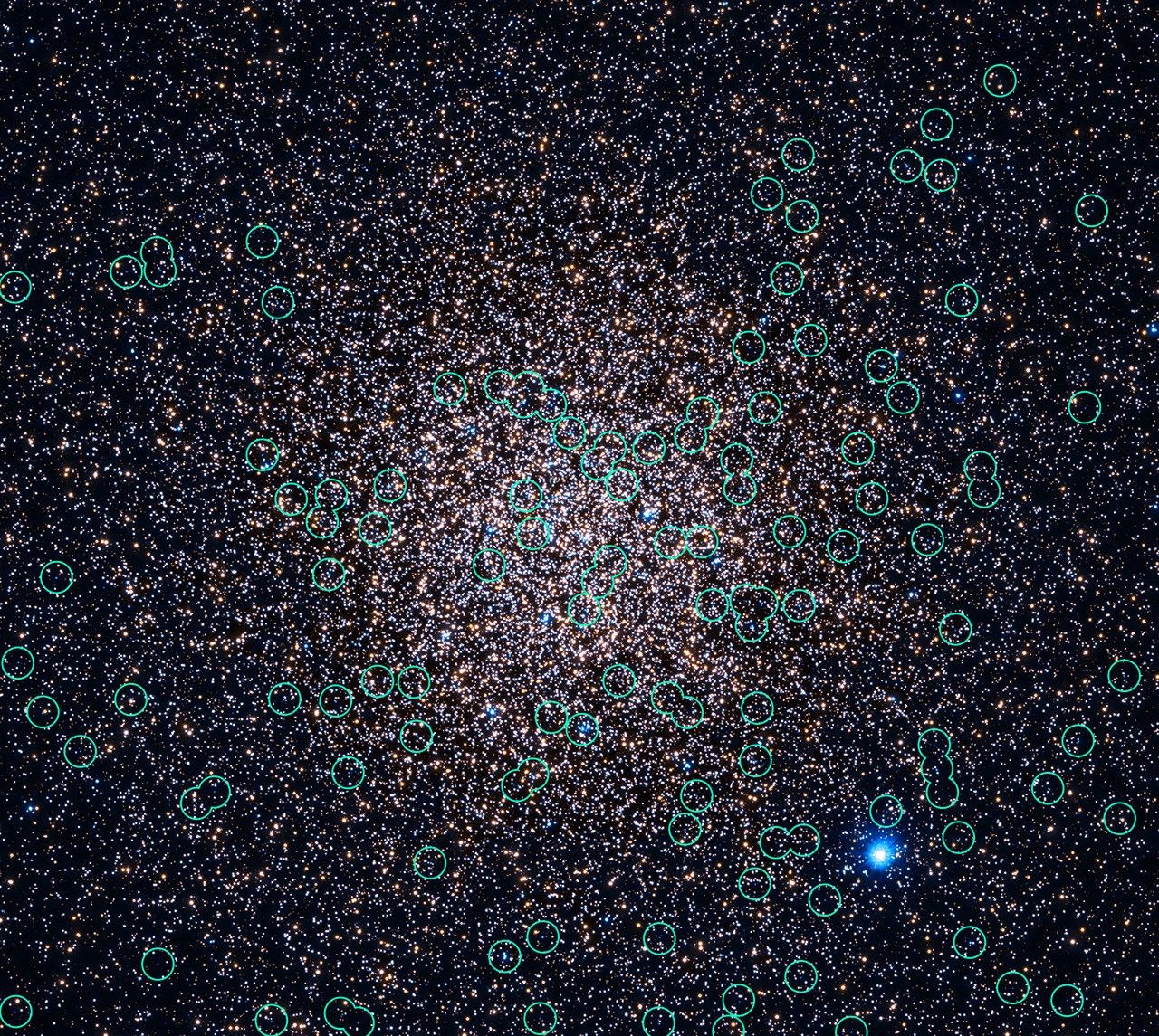 A detailed view of a globular cluster overlaid with light green circles, which mark the locations of white dwarf stars.