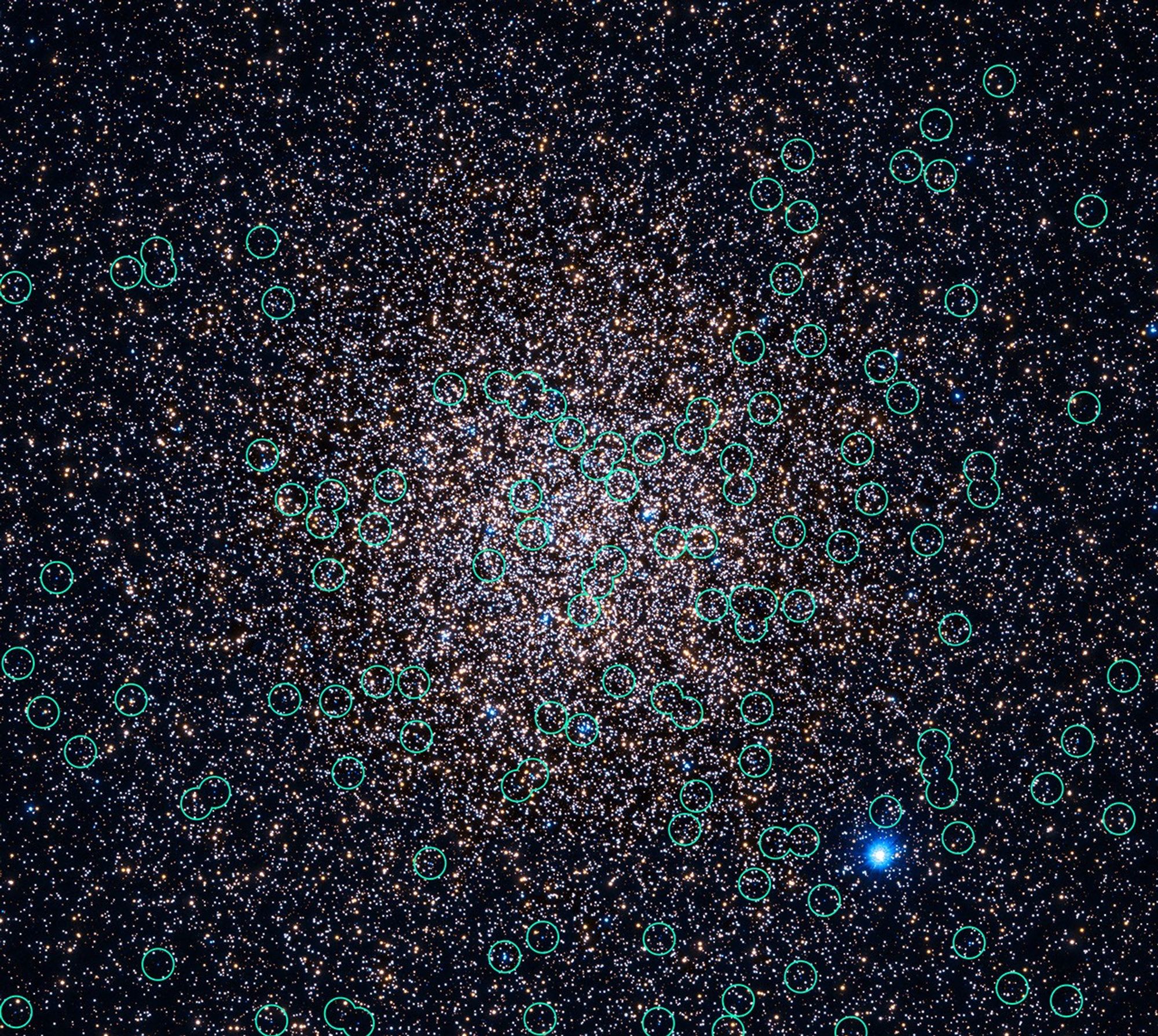 A detailed view of a globular cluster overlaid with light green circles, which mark the locations of white dwarf stars.