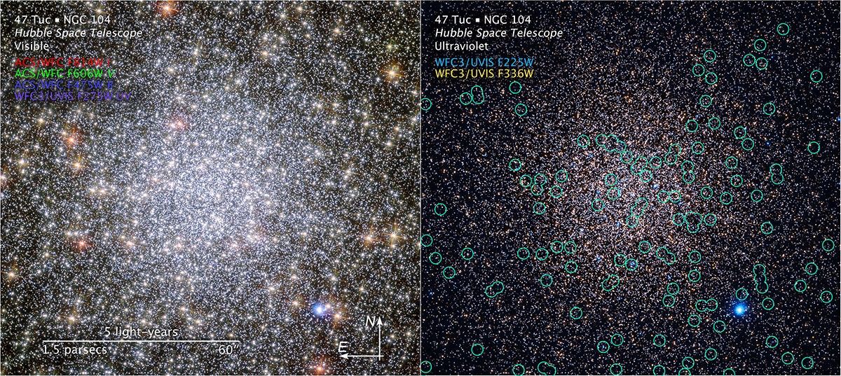 Side-by-side comparison of 47 Tucanae as seen by the Hubble Space Telescope with compass arrows, scale bar, color keys, and graphic overlays. The image on the left is titled “47 Tuc, NGC 104, Hubble Space Telescope, Visible.” The image on the right is titled “47 Tuc, NGC 104, Hubble Space Telescope, Ultraviolet.”