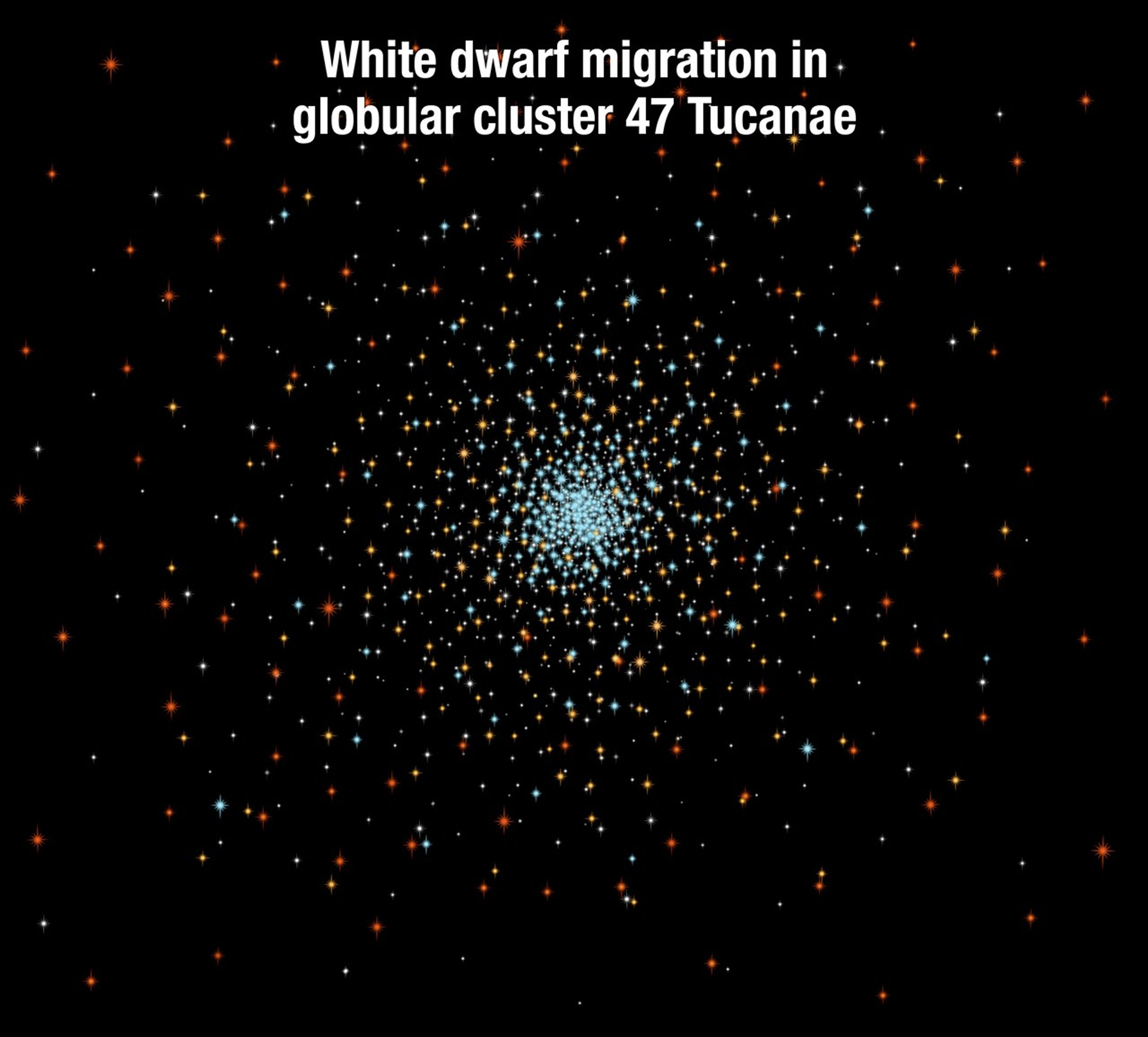 White Dwarf Migration in Globular Cluster 47 Tucanae (with title)