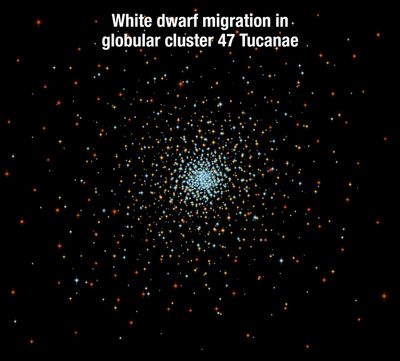 White Dwarf Migration in Globular Cluster 47 Tucanae (with title)