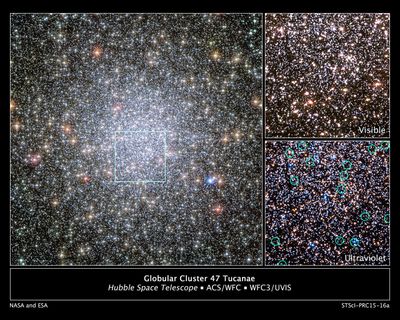 White Dwarfs Migrating from Globular Cluster 47 Tucanae’s Core