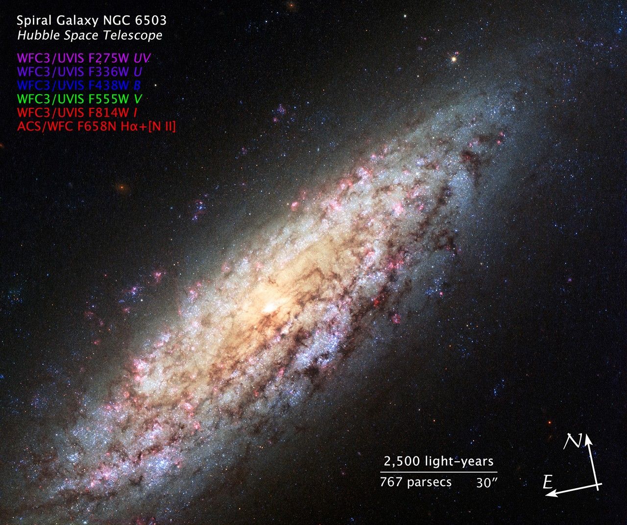 Compass and Scale Image of NGC 6503