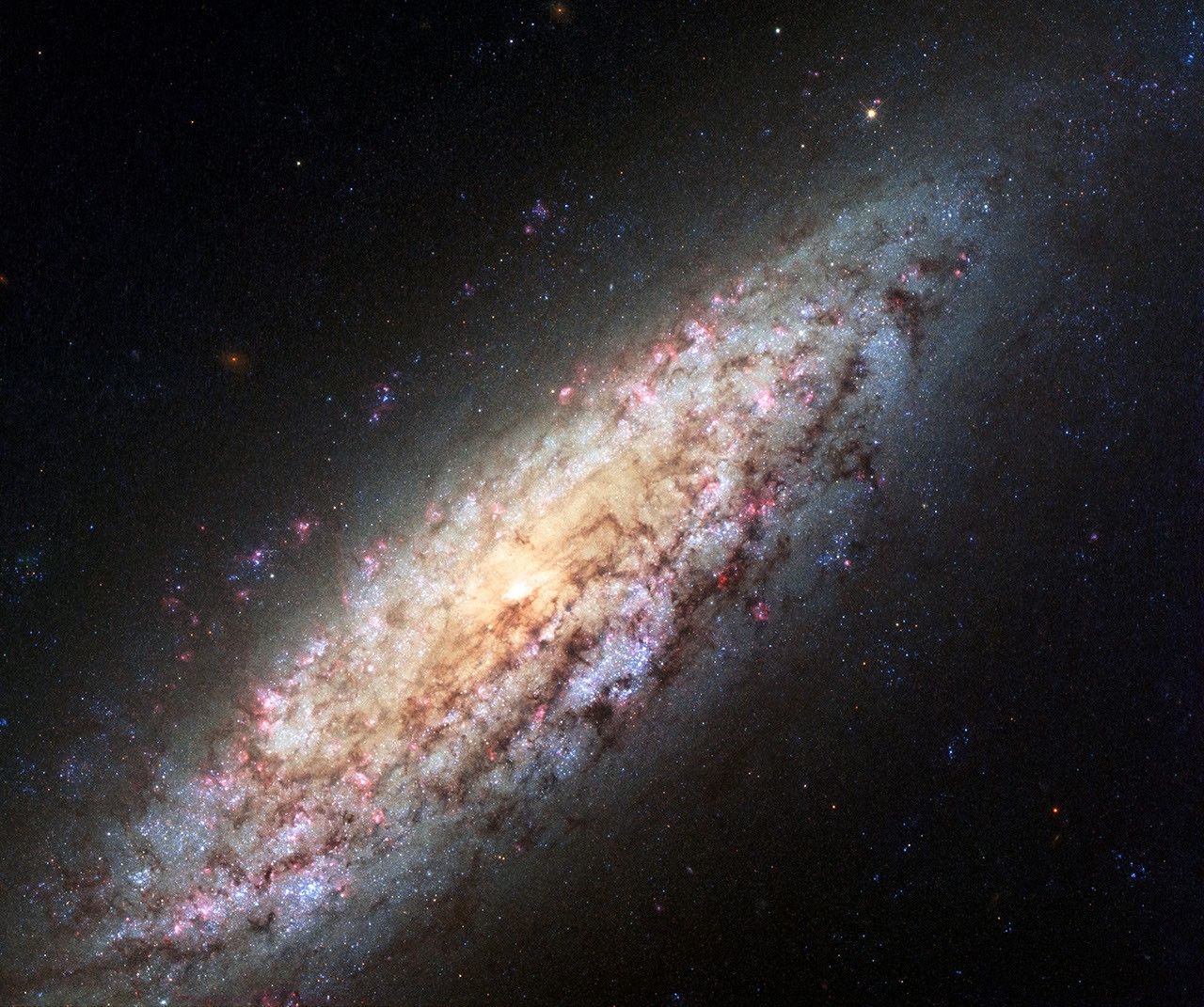 Spiral Galaxy NGC 6503