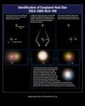 Identification of Exoplanet Host Star OGLE-2005-BLG-169 (Artist's Illustration)