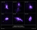 Sample of Brightest Cluster Galaxies