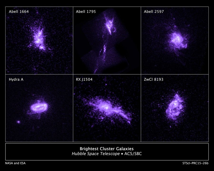Sample of Brightest Cluster Galaxies