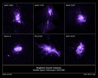 Sample of Brightest Cluster Galaxies