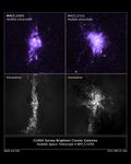 CLASH Survey Brightest Cluster Galaxies and Simulations