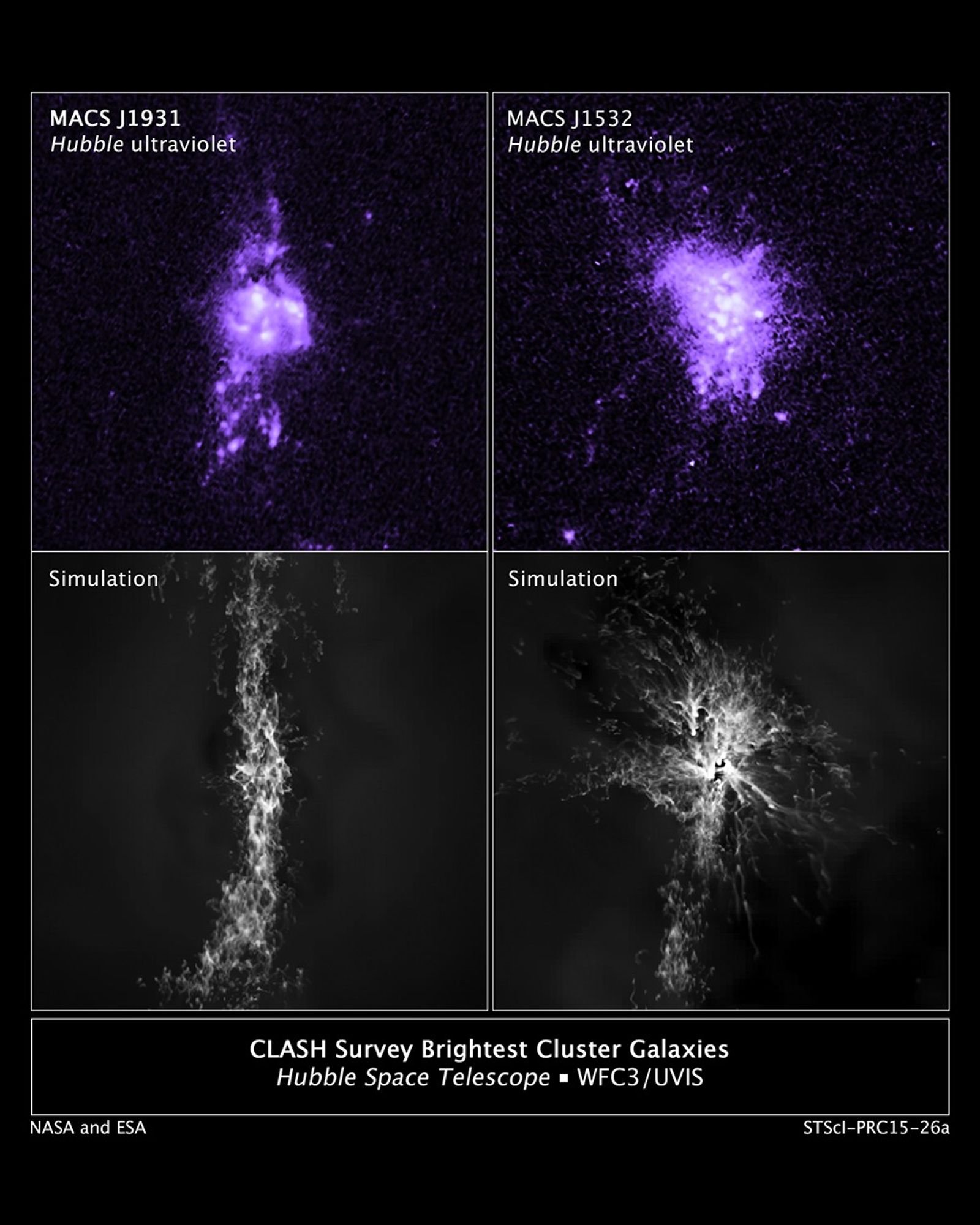 CLASH Survey Brightest Cluster Galaxies and Simulations