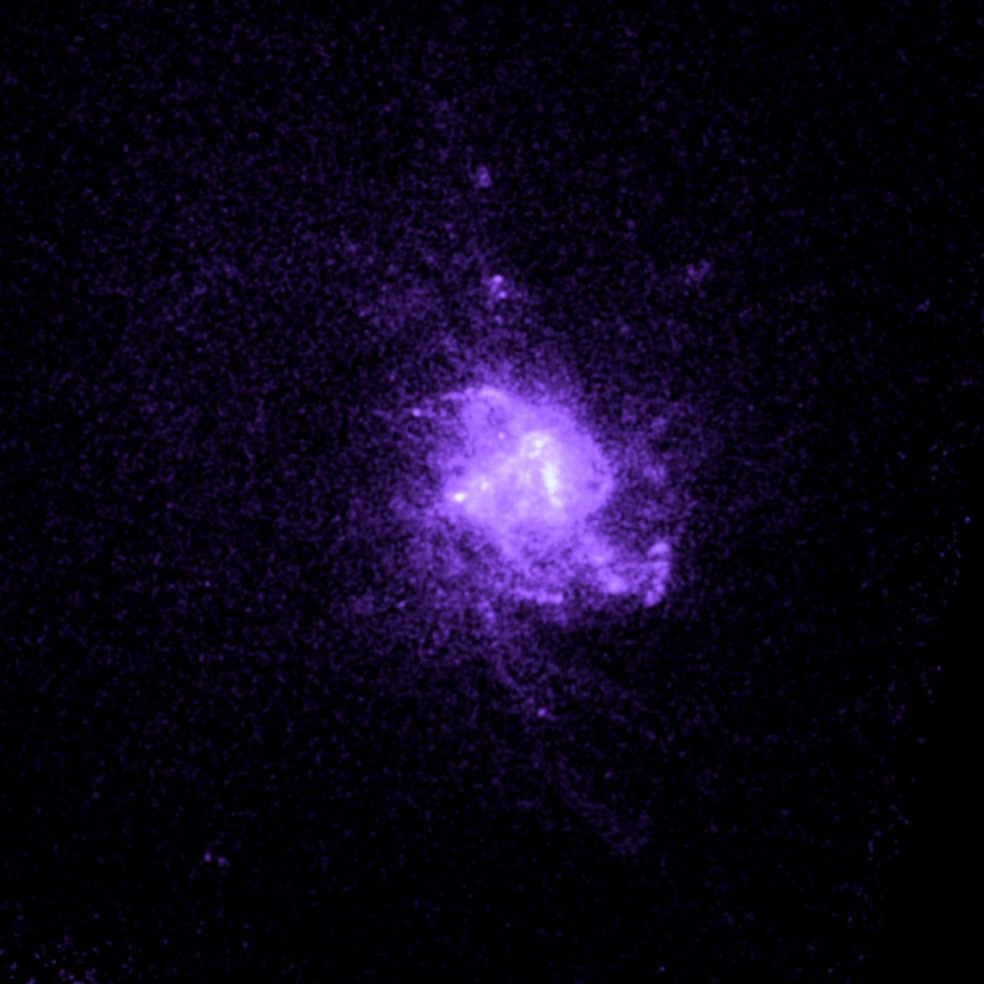 Galaxy Abell 2597