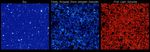 Signatures of the Earliest Galaxies