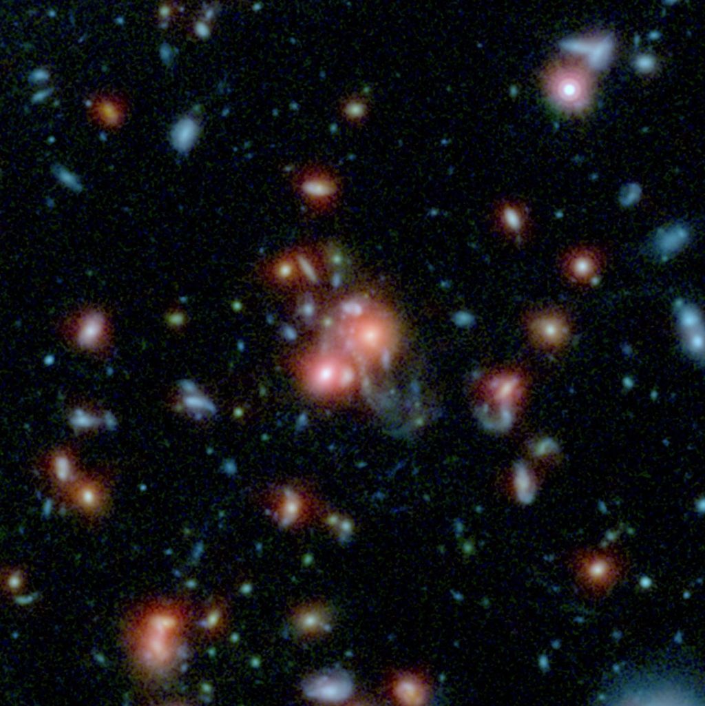 Galaxy Cluster SpARCS1049+56