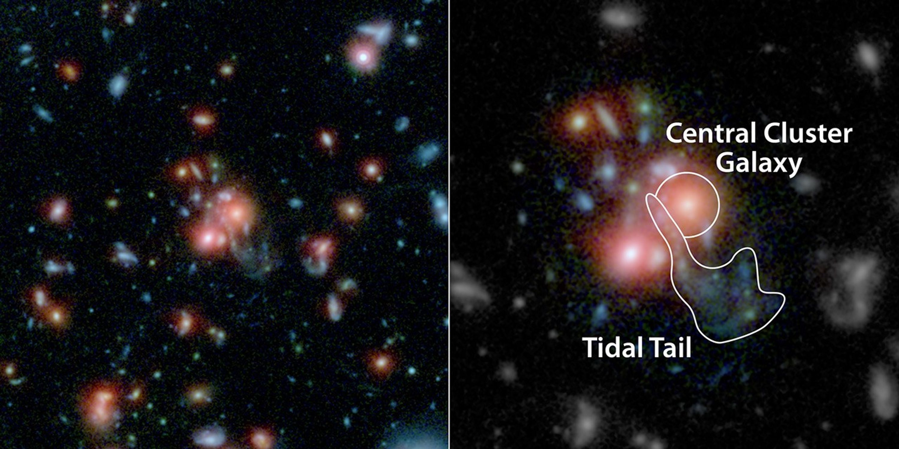Galaxy Cluster SpARCS1049+56