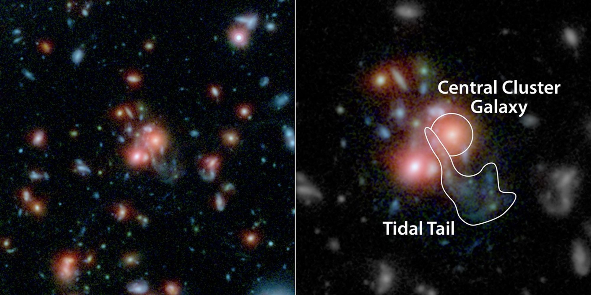 Galaxy Cluster SpARCS1049+56