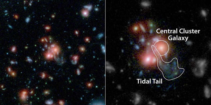 Galaxy Cluster SpARCS1049+56