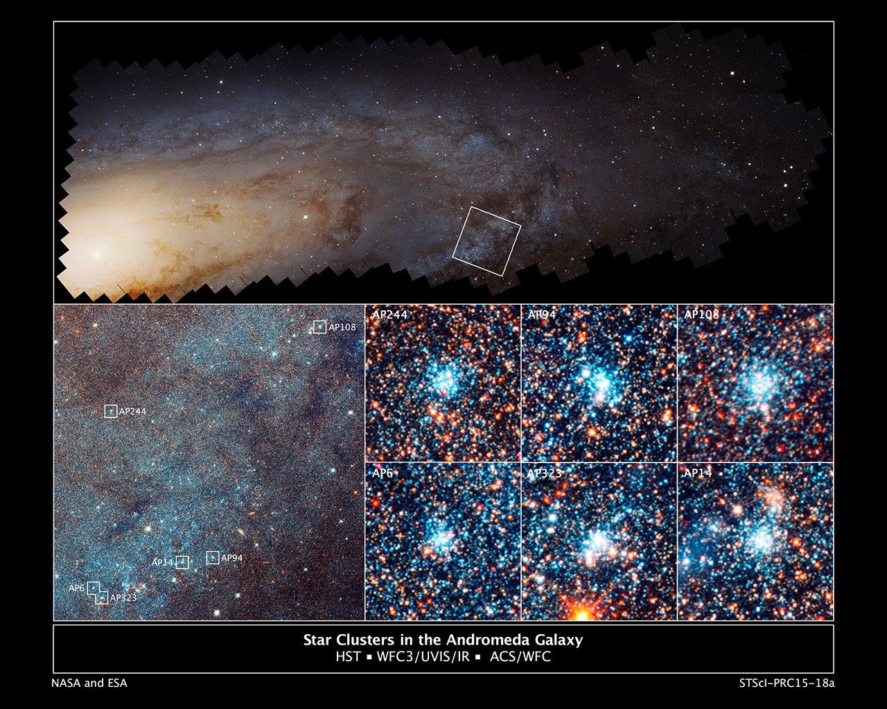 Star Clusters in the Andromeda Galaxy