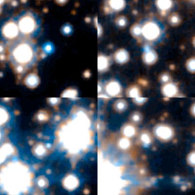 Sample of White Dwarfs in the Hubble SWEEPS Field
