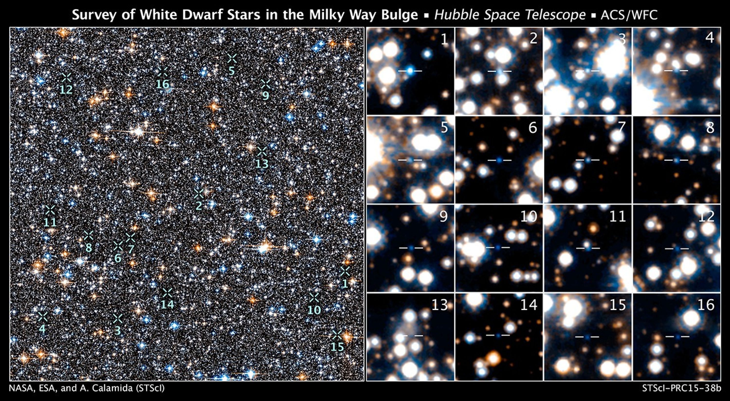 Survey of White Dwarf Stars in the Milky Way Bulge