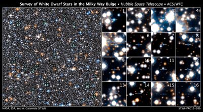 Survey of White Dwarf Stars in the Milky Way Bulge