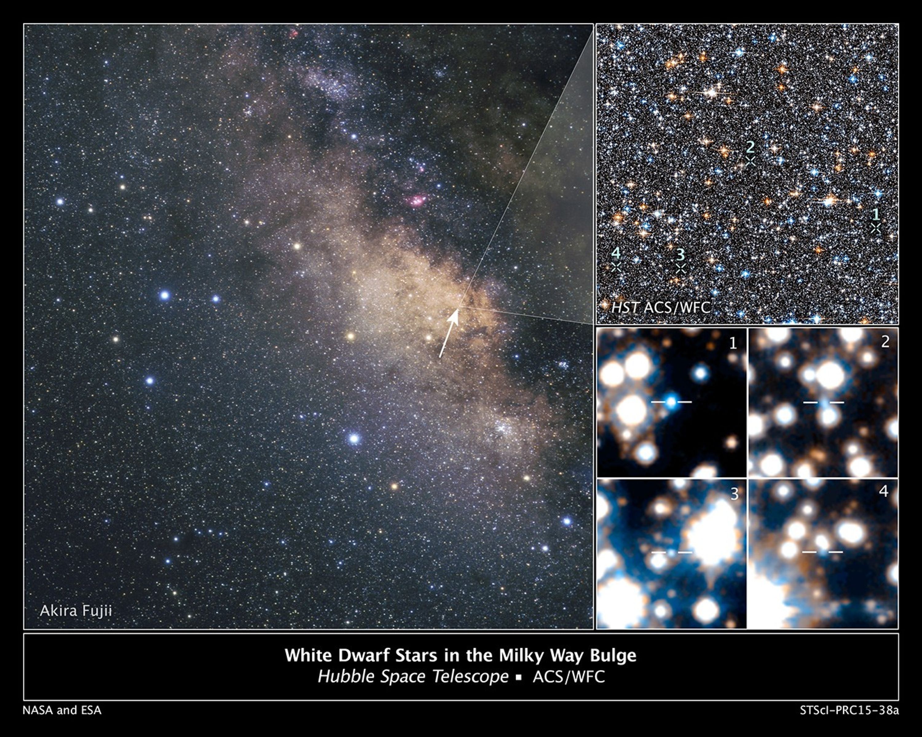 White Dwarf Stars in the Milky Way Bulge