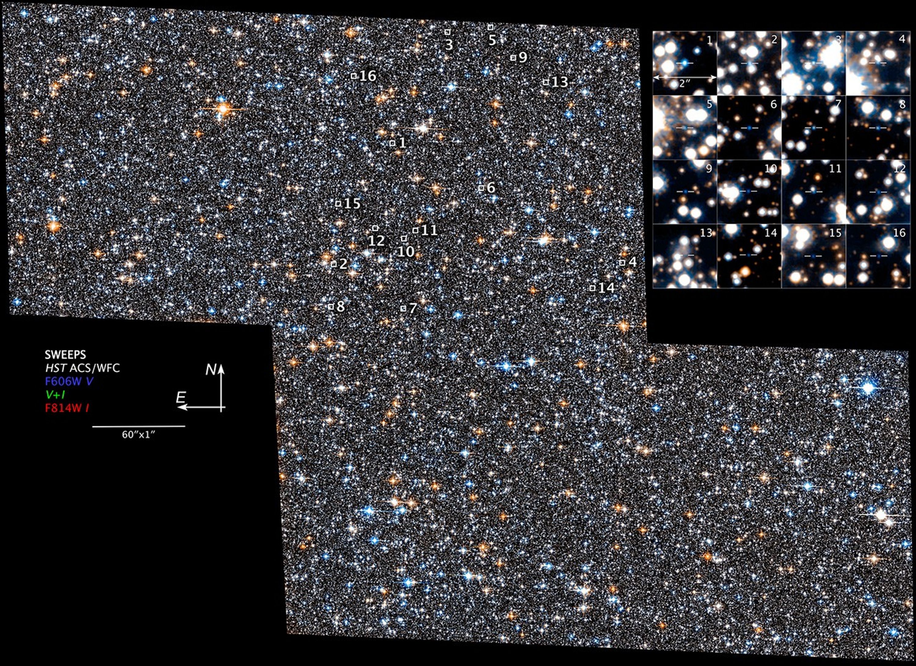 SWEEPS Compass and Scale
