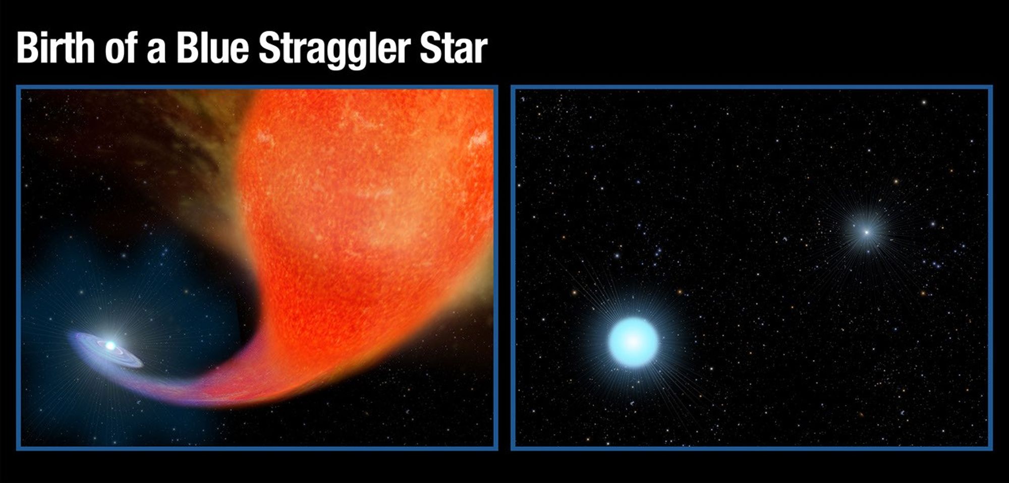 Birth of a Blue Straggler Star
