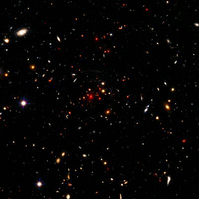 HST Image of Massive Galaxy Cluster IDCS J1426.5+3508