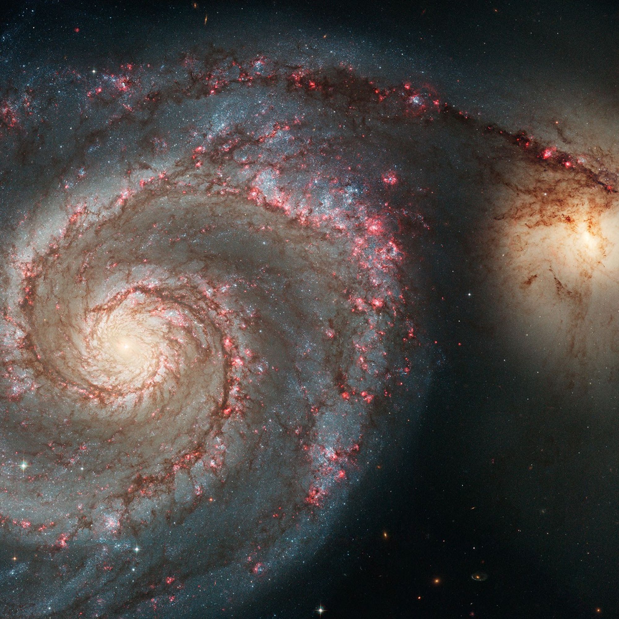 M51 (HST)