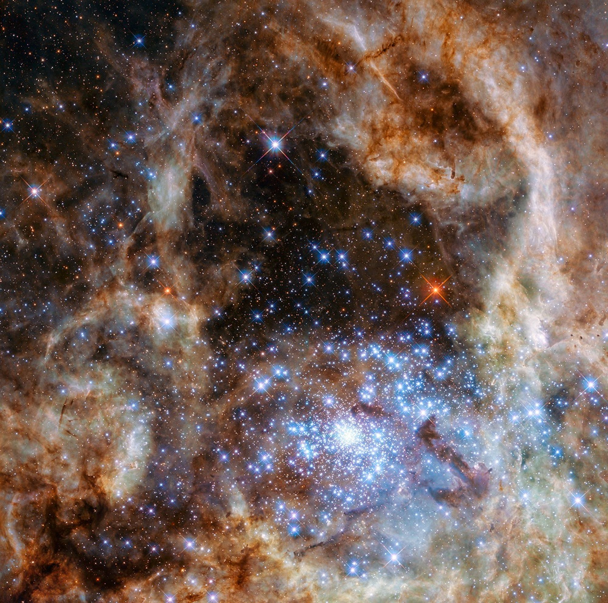 A dense cluster of blue stars surrounded by clouds of gas and dust.