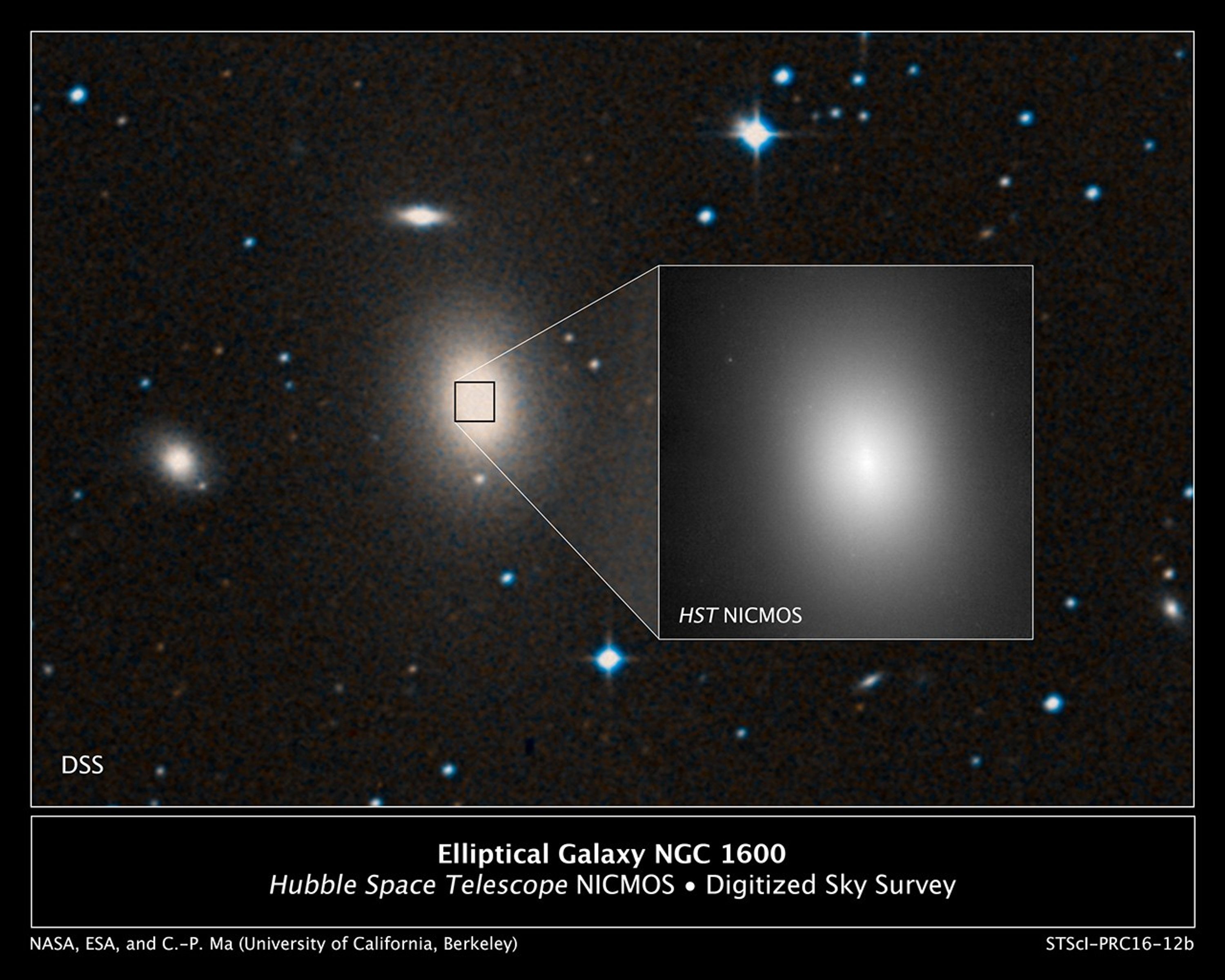 A View of the Giant Elliptical Galaxy NGC 1600