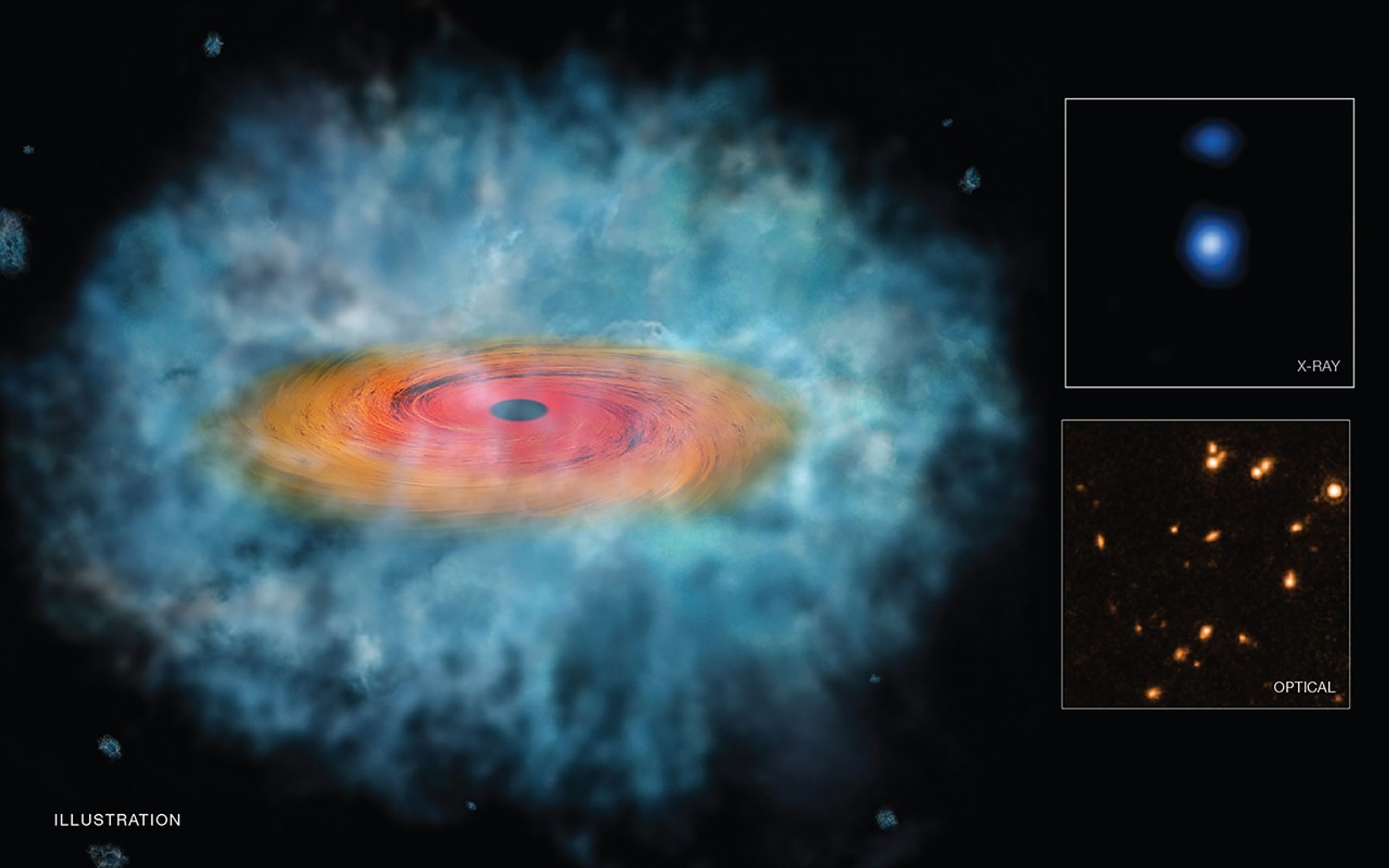 OBJ29323: One of Two Distant Supermassive Black Hole 'Seed' Candidates