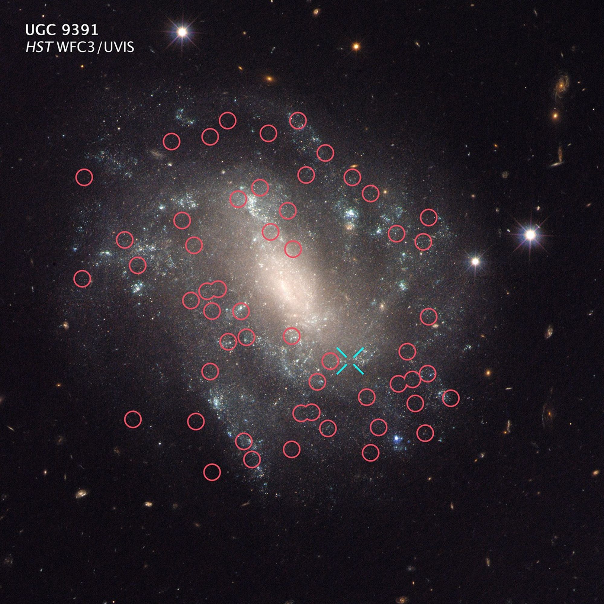 Galaxy UGC 9391