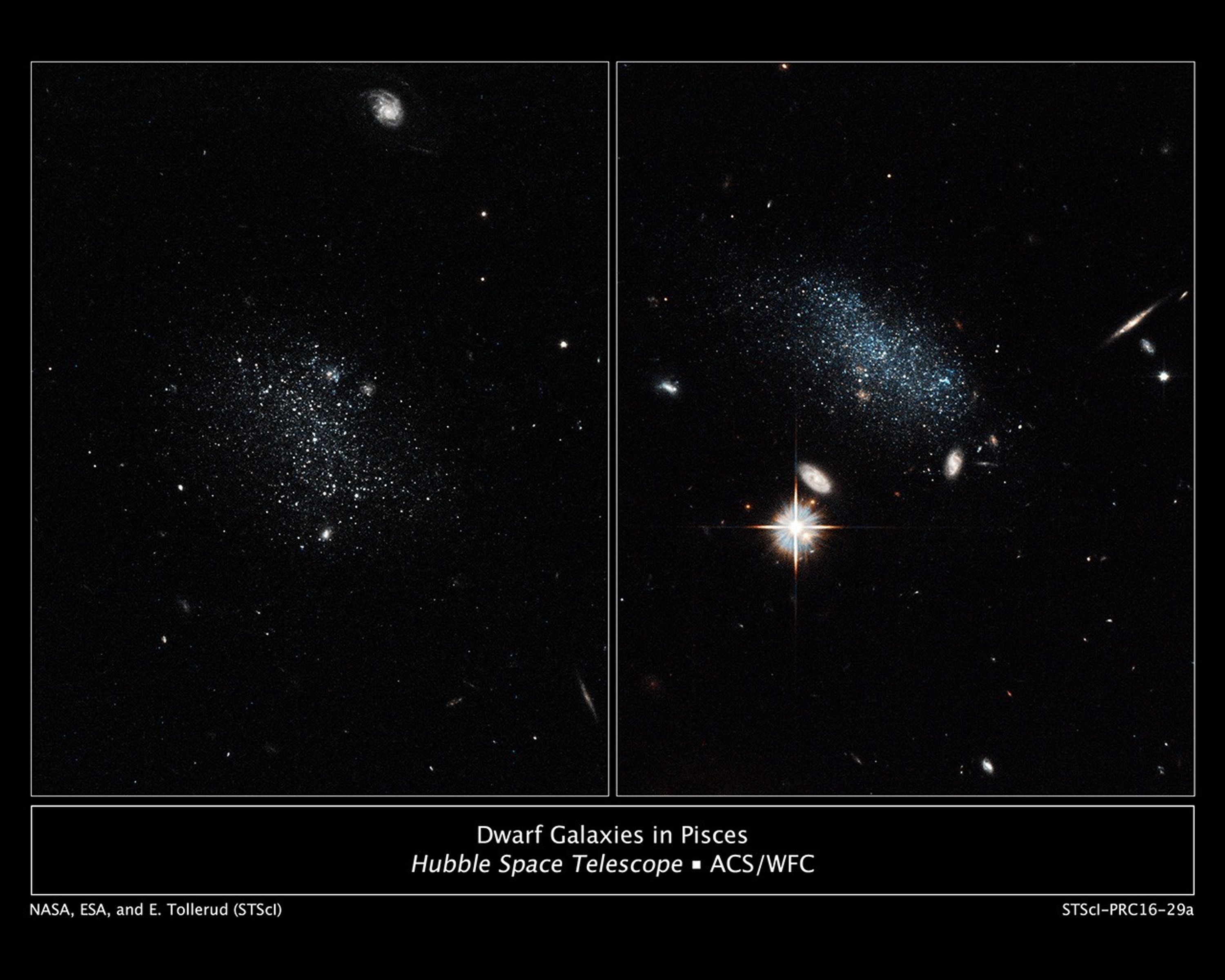 Dwarf Galaxies in Pisces
