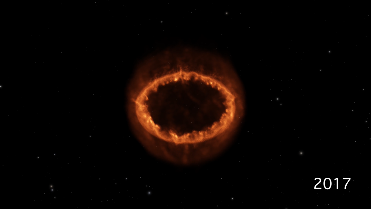 The Development of Supernova 1987A
