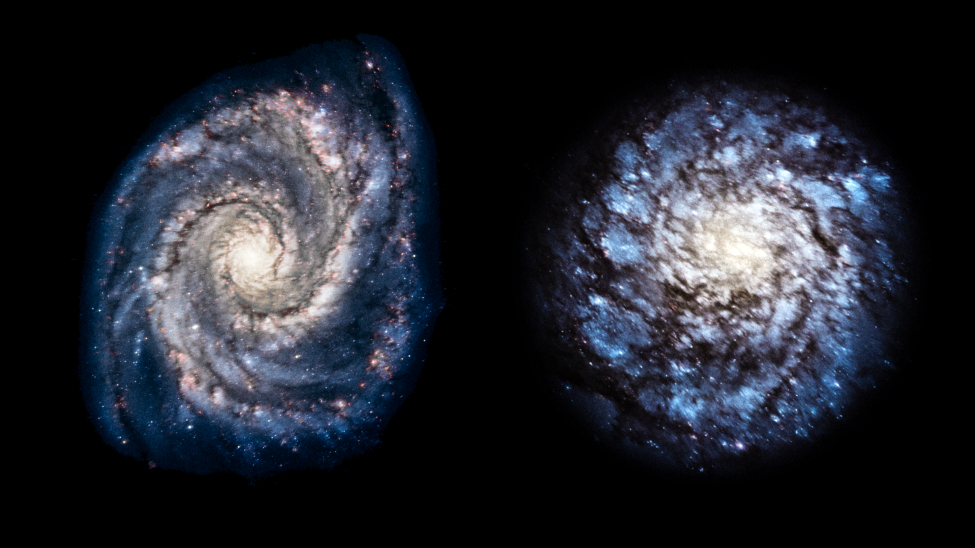 Perspectives on Spiral Galaxies