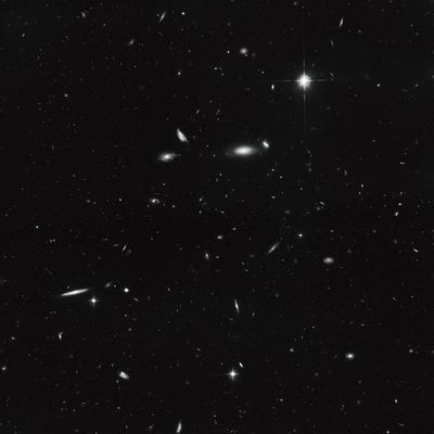 A Sea of Spiral Galaxies