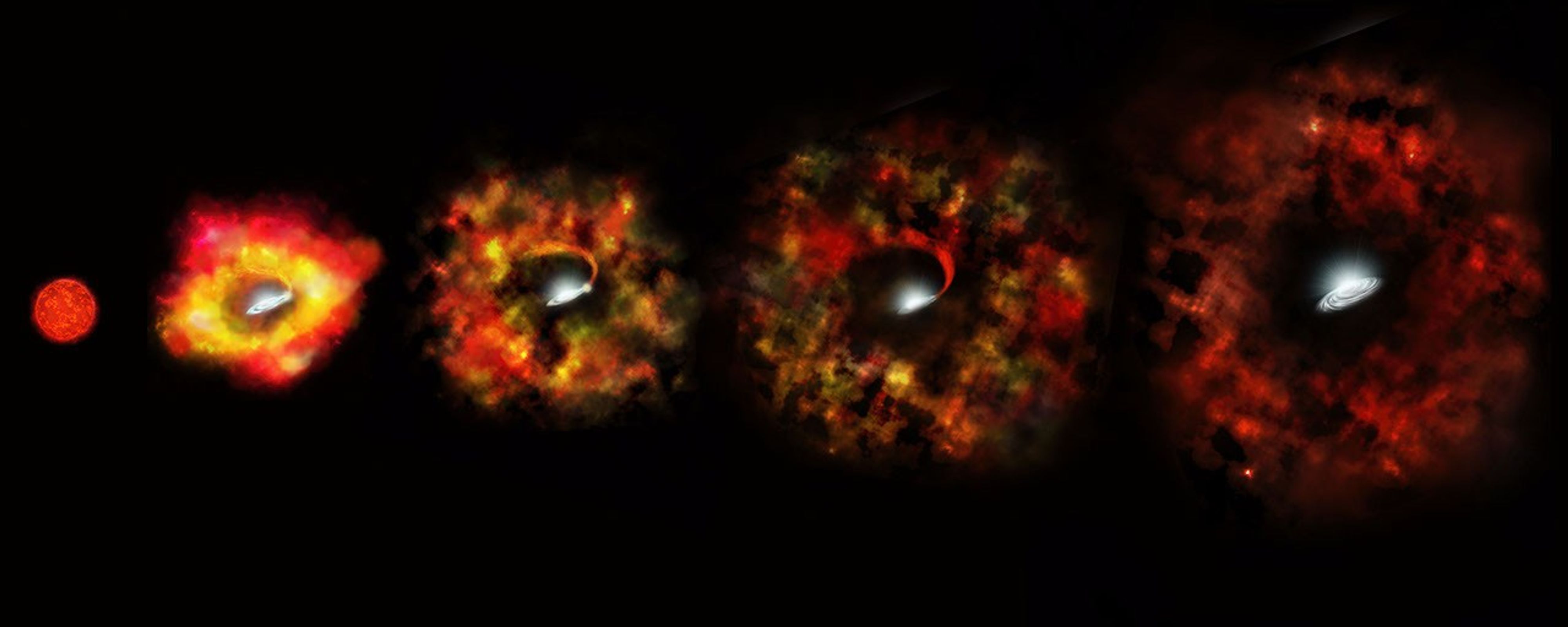 Image 41: N6946-BH1 Failed Supernova (Artist's Illustration)