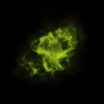 Spitzer Space Telescope (infrared) Image of the Crab Nebula