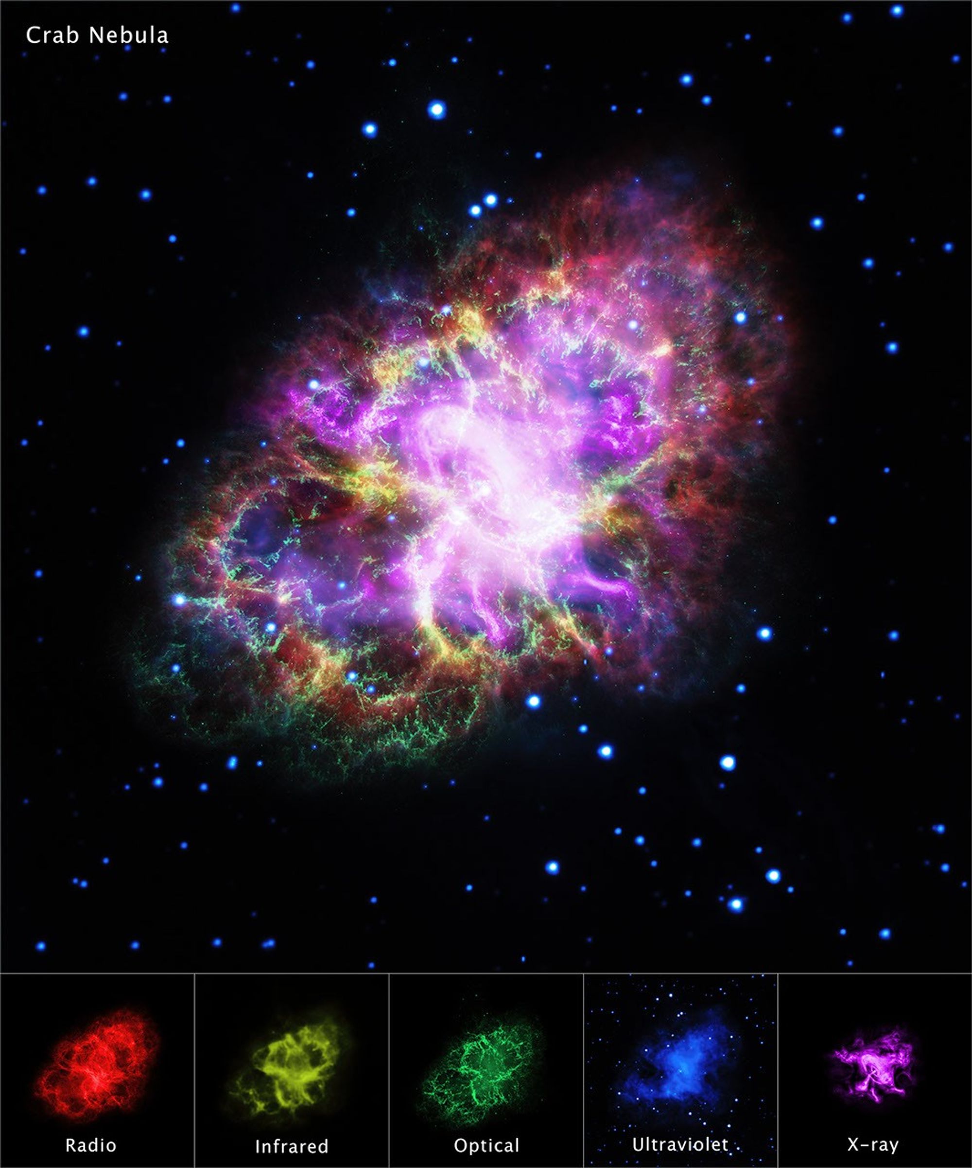 Crab Nebula in Multiple Wavelengths