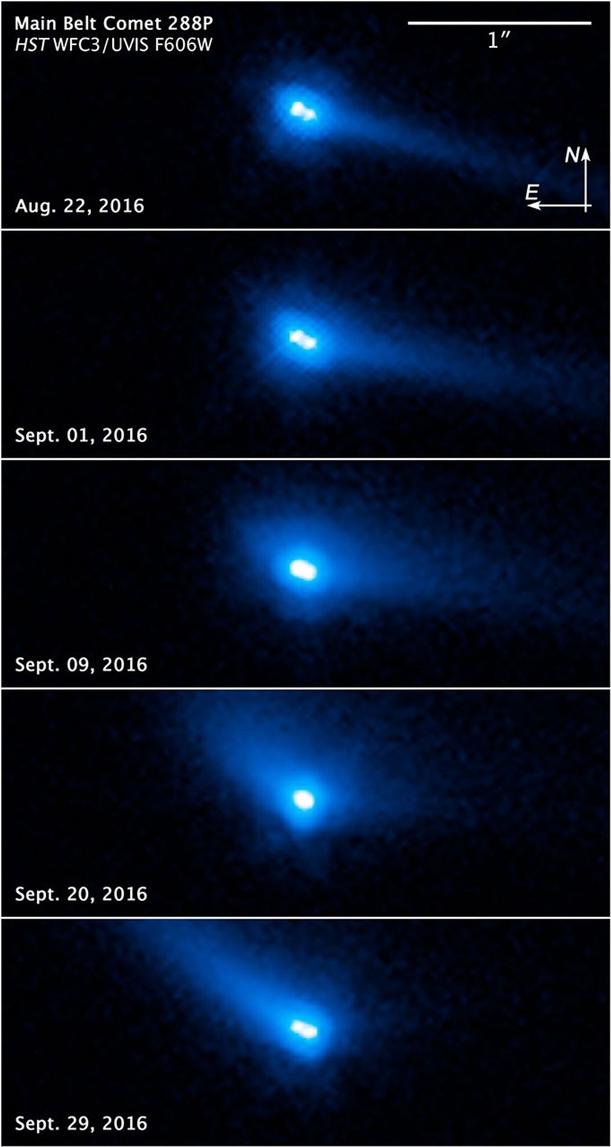 Compass and Scale Image for Binary Asteroid 2006 VW139/288P